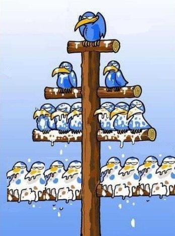 Shit flows downhill. What'd you think it was?