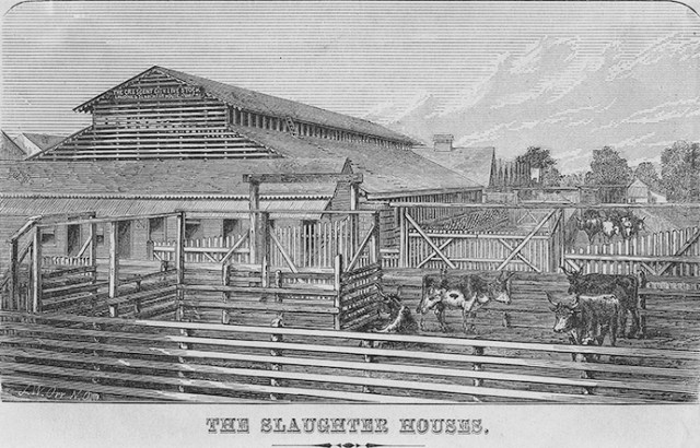 Slaughterhouse